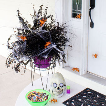 Halloween Decor from Dead Houseplants