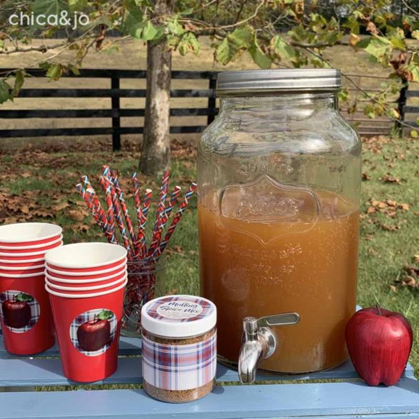 Kid's apple cider roadside stand