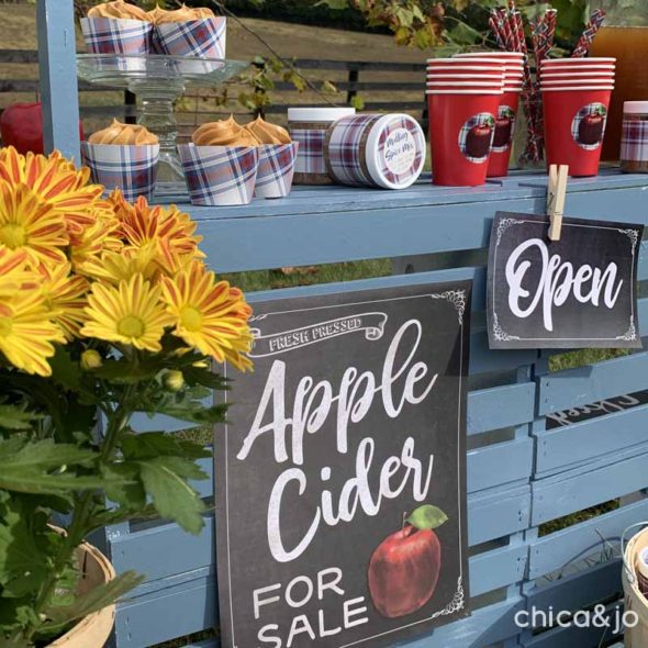 Kid's apple cider roadside stand