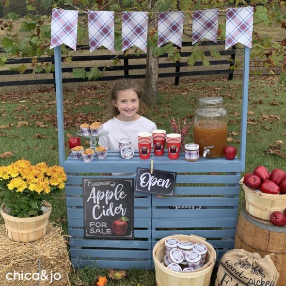 Kid's Apple Cider Roadside Stand