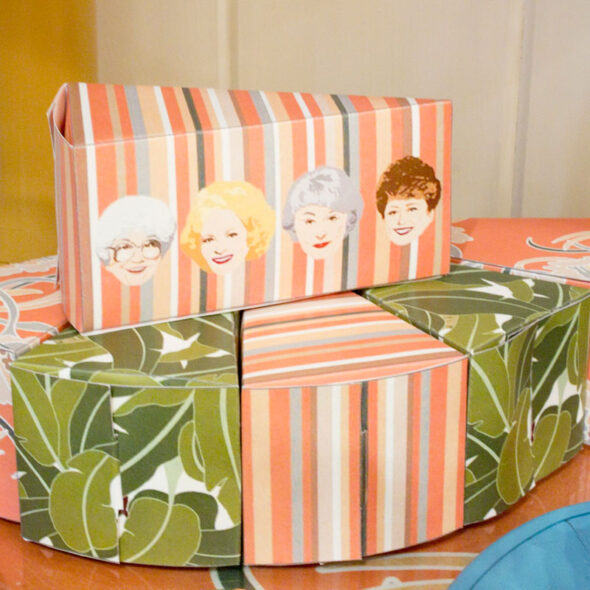 Golden Girls Birthday Wrapping Paper – Made In The Mitten