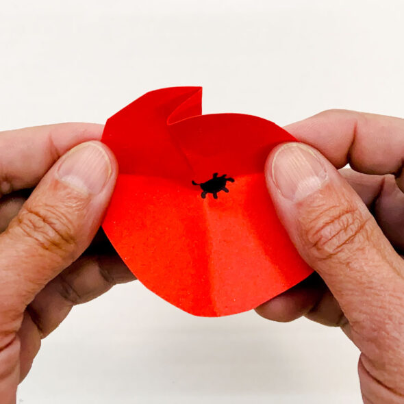 how to make easy DIY paper poppies flowers