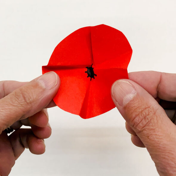 how to make easy DIY paper poppies flowers