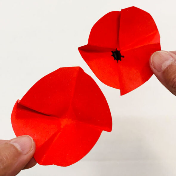 how to make easy DIY paper poppies flowers