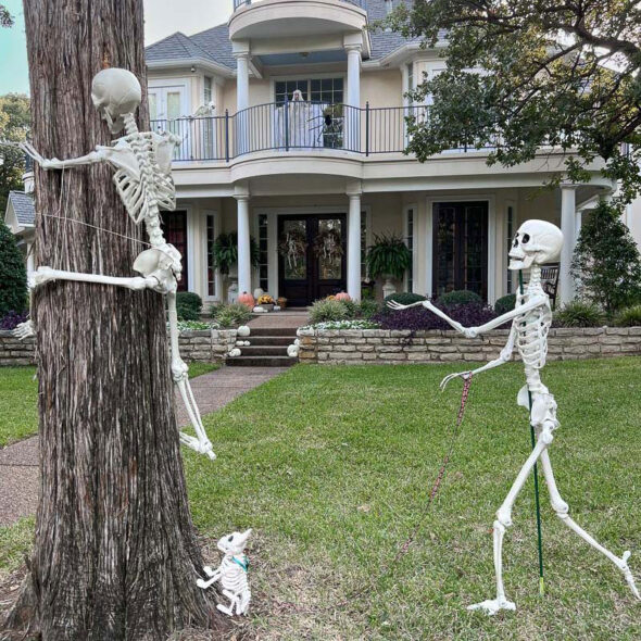 15+ Skeleton Halloween decorating ideas