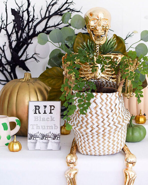 15+ Skeleton Halloween decorating ideas