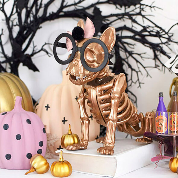15+ Skeleton Halloween decorating ideas