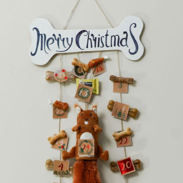 diy advent calendar ideas - dog bones