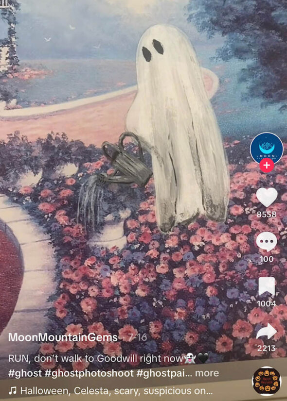 thrifted ghost painting moonmountaingems