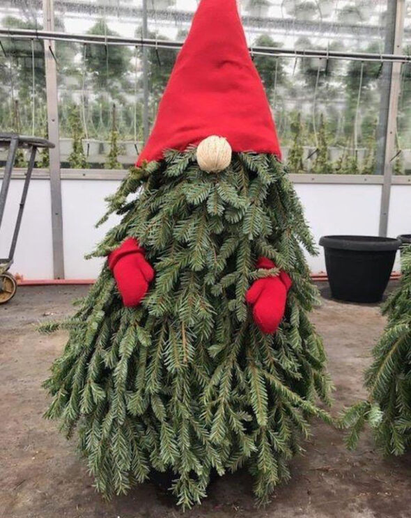 tomato cage christmas tree ideas - gnome tree