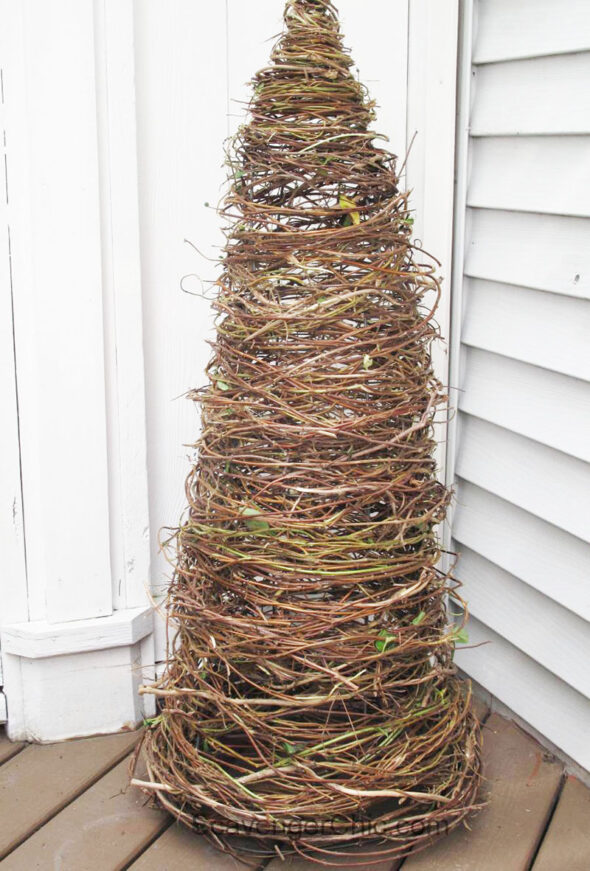 tomato cage christmas tree ideas - honeysuckle vine