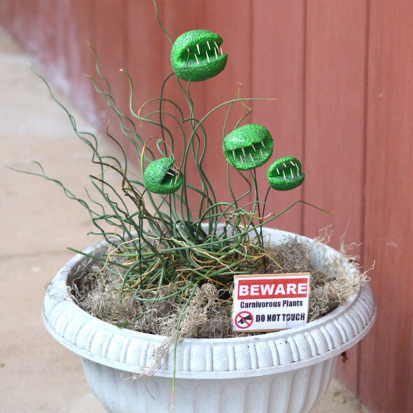 cheap and easy halloween decorations