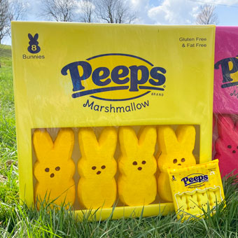 Giant Easter Peeps Decorations