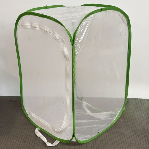 how to raise monarch butterflies at home - butterfly mesh enclosure